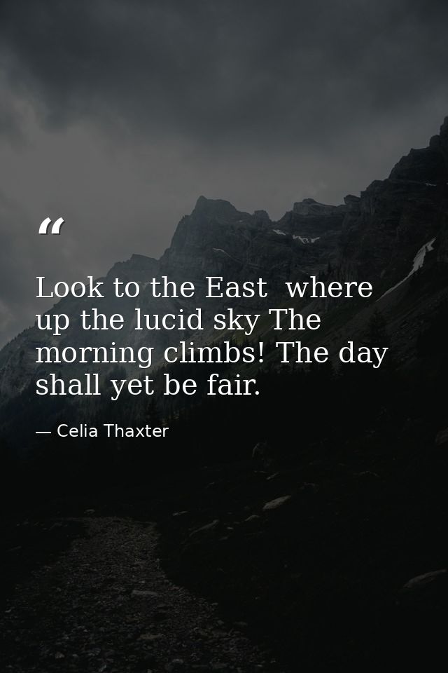 Look to the East  where up the lucid sky The morning climbs! The day shall yet be fair. — Celia Thaxter