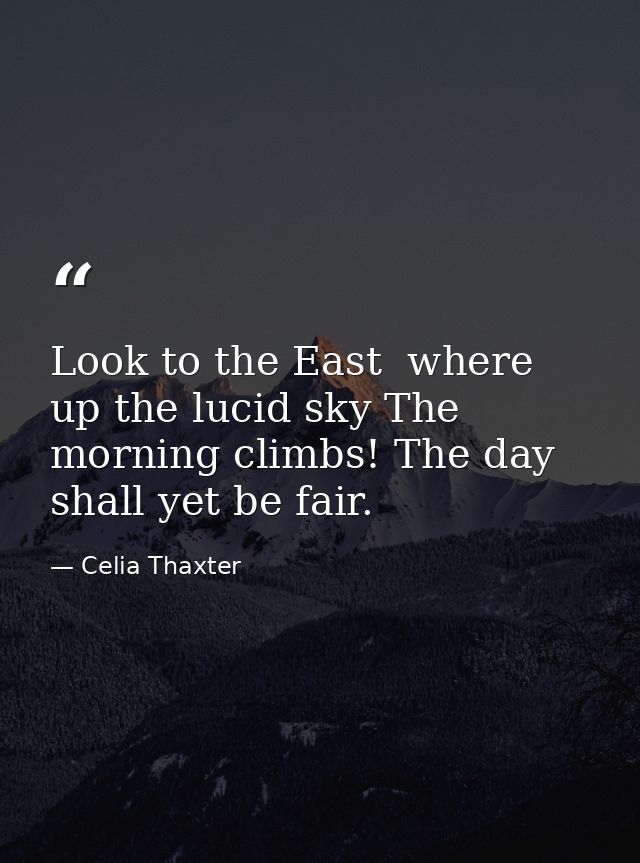 Look to the East  where up the lucid sky The morning climbs! The day shall yet be fair. — Celia Thaxter