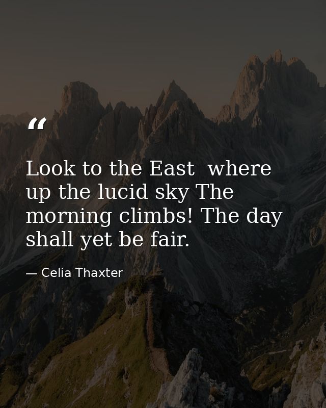 Look to the East  where up the lucid sky The morning climbs! The day shall yet be fair. — Celia Thaxter