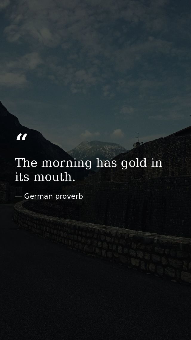 The morning has gold in its mouth. — German proverb