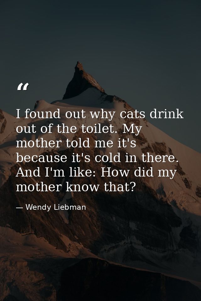 I found out why cats drink out of the toilet. My mother told me it's because it's cold in there. And I'm like: How did m — Wendy Liebman