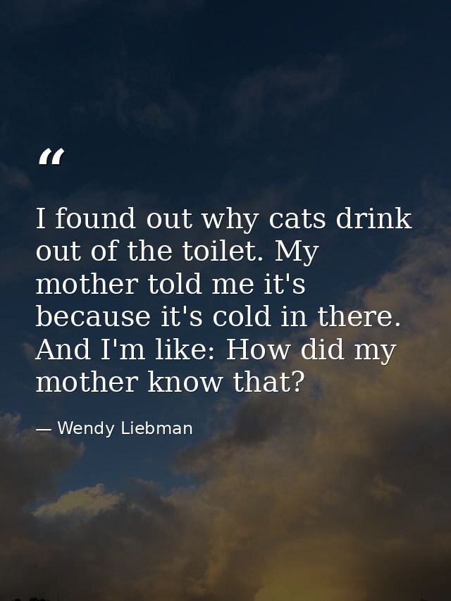I found out why cats drink out of the toilet. My mother told me it's because it's cold in there. And I'm like: How did m — Wendy Liebman