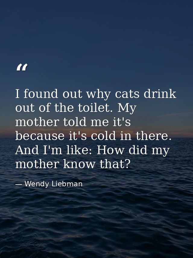 I found out why cats drink out of the toilet. My mother told me it's because it's cold in there. And I'm like: How did m — Wendy Liebman
