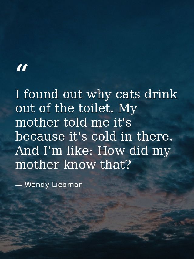 I found out why cats drink out of the toilet. My mother told me it's because it's cold in there. And I'm like: How did m — Wendy Liebman