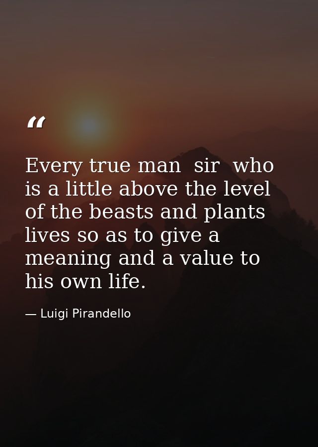 Every true man  sir  who is a little above the level of the beasts and plants  lives so as to give a meaning and a value — Luigi Pirandello