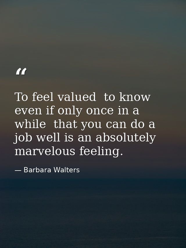 To feel valued  to know  even if only once in a while  that you can do a job well is an absolutely marvelous feeling. — Barbara Walters