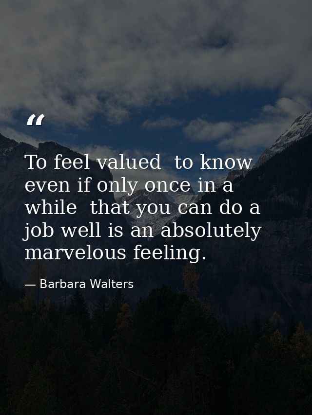 To feel valued  to know  even if only once in a while  that you can do a job well is an absolutely marvelous feeling. — Barbara Walters