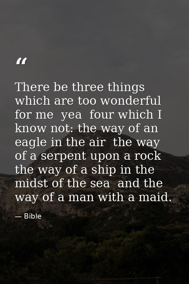 There be three things which are too wonderful for me  yea  four which I know not: the way of an eagle in the air  the wa — Bible