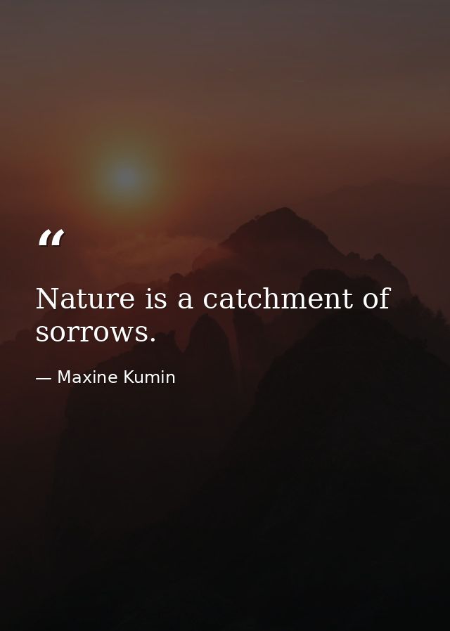 Nature is a catchment of sorrows. — Maxine Kumin