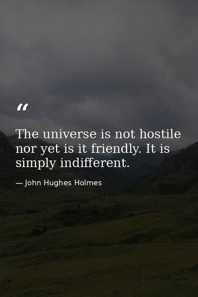 The universe is not hostile  nor yet is it friendly. It is simply indifferent. — John Hughes Holmes