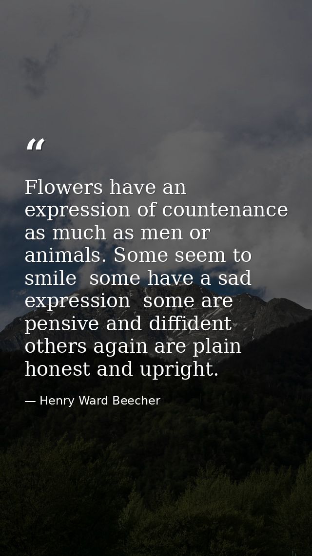 Flowers have an expression of countenance as much as men or animals. Some seem to smile  some have a sad expression  som — Henry Ward Beecher