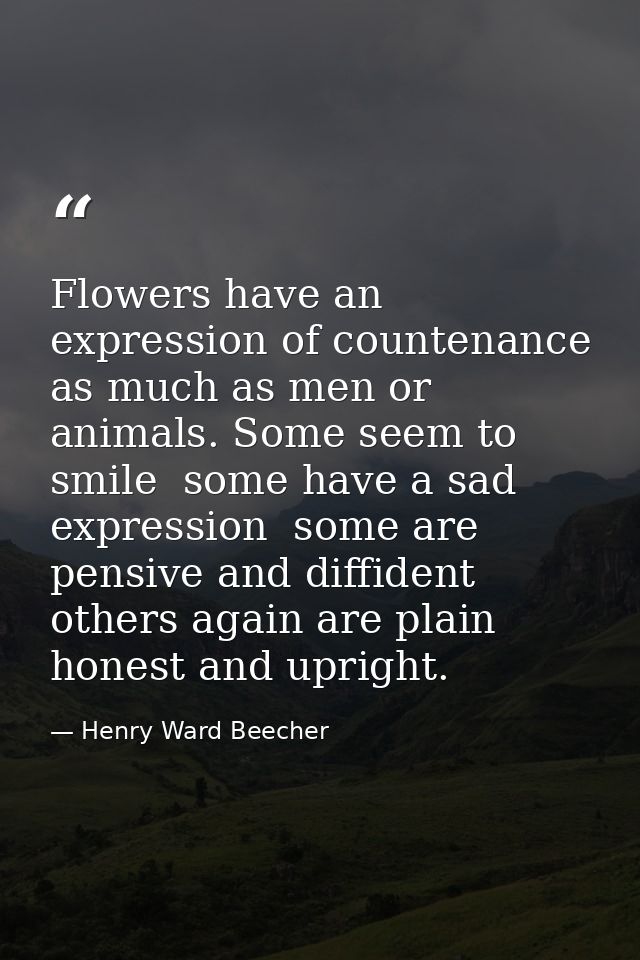 Flowers have an expression of countenance as much as men or animals. Some seem to smile  some have a sad expression  som — Henry Ward Beecher
