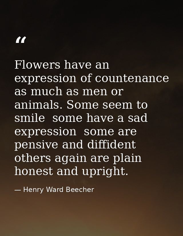 Flowers have an expression of countenance as much as men or animals. Some seem to smile  some have a sad expression  som — Henry Ward Beecher