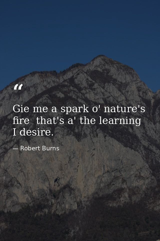 Gie me a spark o' nature's fire  that's a' the learning I desire. — Robert Burns