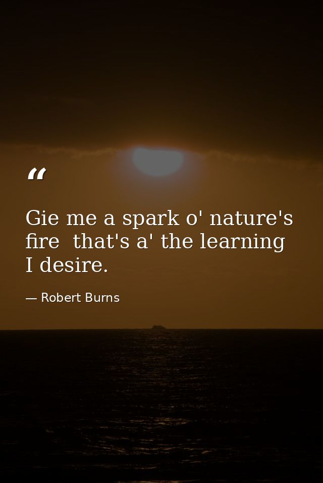 Gie me a spark o' nature's fire  that's a' the learning I desire. — Robert Burns