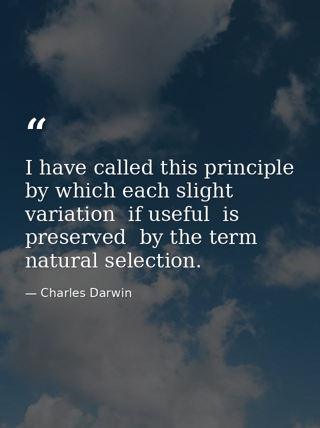 I have called this principle  by which each slight variation  if useful  is preserved  by the term natural selection. — Charles Darwin