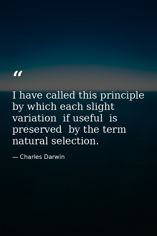 I have called this principle  by which each slight variation  if useful  is preserved  by the term natural selection. — Charles Darwin