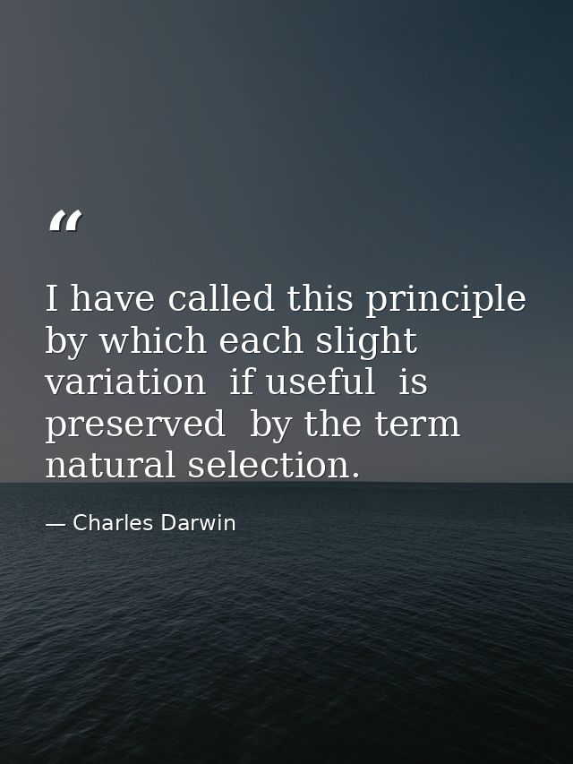 I have called this principle  by which each slight variation  if useful  is preserved  by the term natural selection. — Charles Darwin