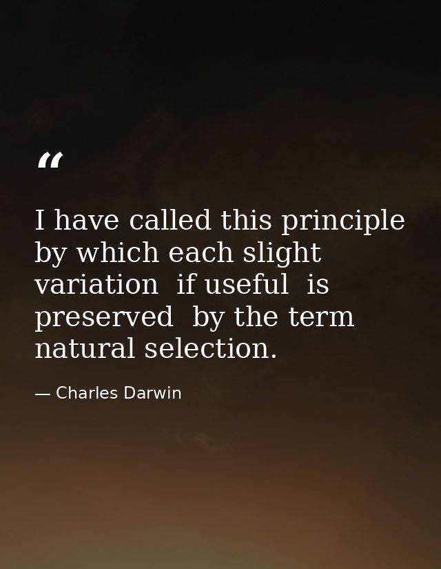 I have called this principle  by which each slight variation  if useful  is preserved  by the term natural selection. — Charles Darwin