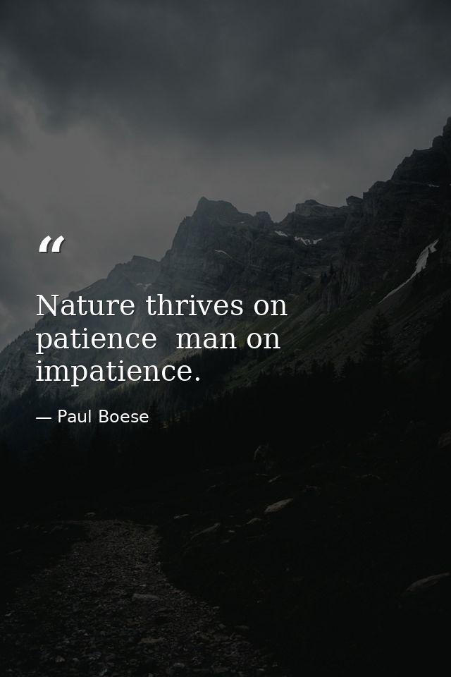 Nature thrives on patience  man on impatience. — Paul Boese