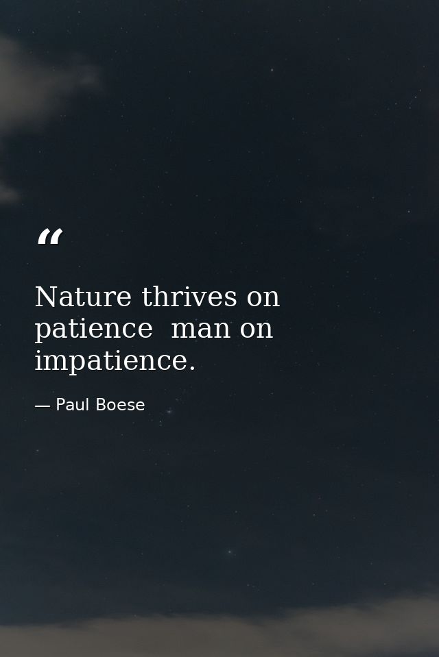 Nature thrives on patience  man on impatience. — Paul Boese