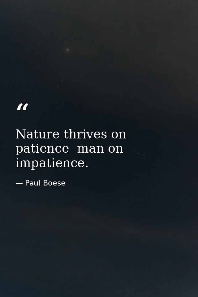 Nature thrives on patience  man on impatience. — Paul Boese