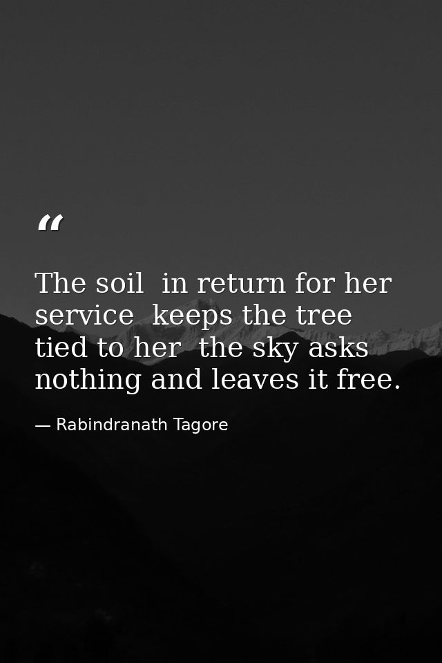 The soil  in return for her service  keeps the tree tied to her  the sky asks nothing and leaves it free. — Rabindranath Tagore