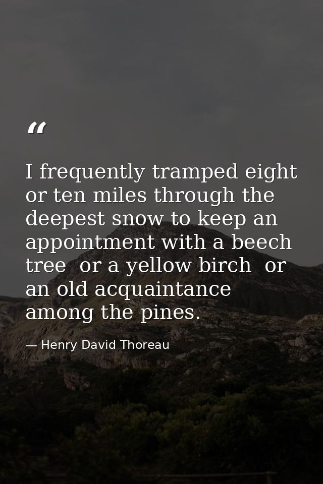 I frequently tramped eight or ten miles through the deepest snow to keep an appointment with a beech tree  or a yellow b — Henry David Thoreau