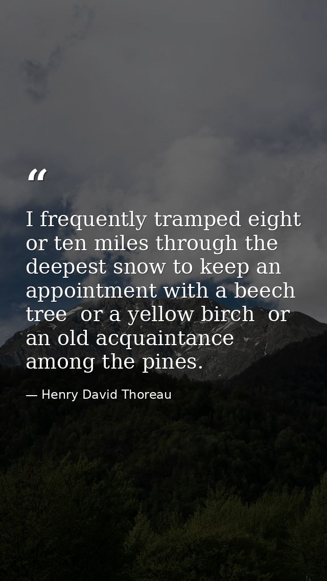 I frequently tramped eight or ten miles through the deepest snow to keep an appointment with a beech tree  or a yellow b — Henry David Thoreau
