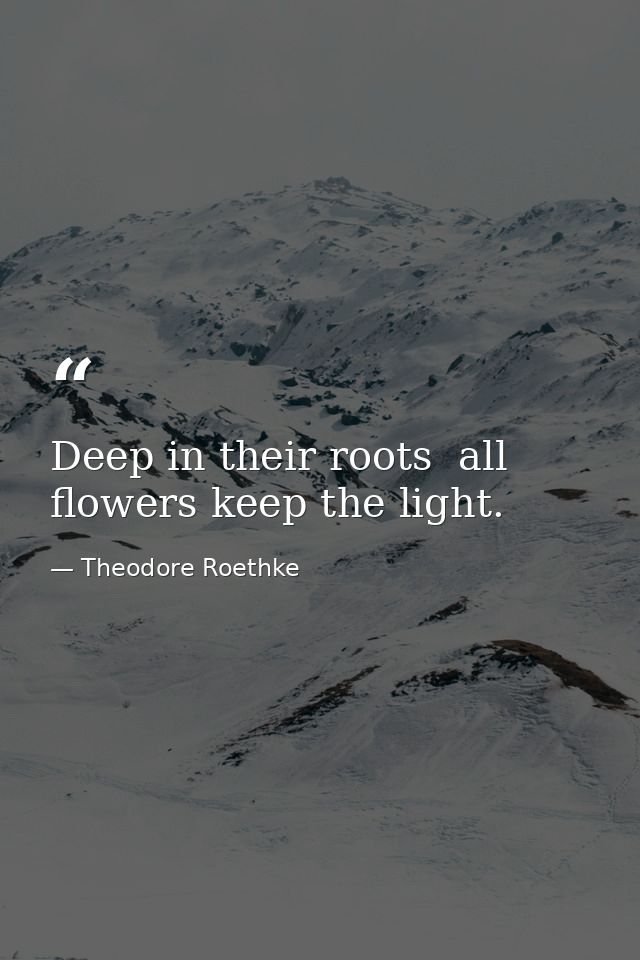 Deep in their roots  all flowers keep the light. — Theodore Roethke