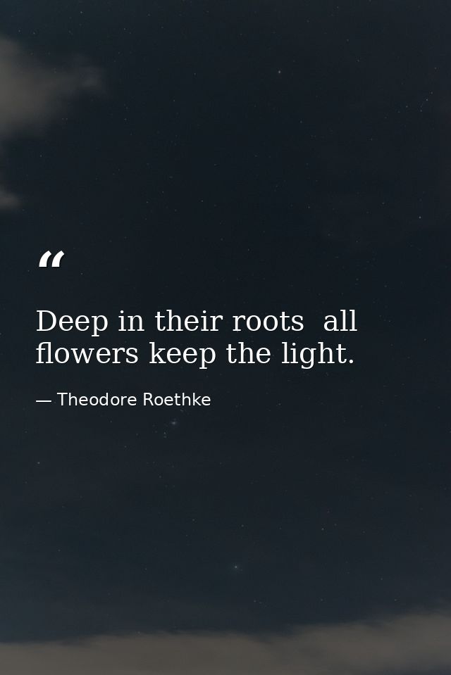 Deep in their roots  all flowers keep the light. — Theodore Roethke