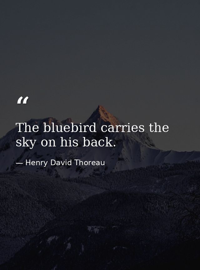 The bluebird carries the sky on his back. — Henry David Thoreau