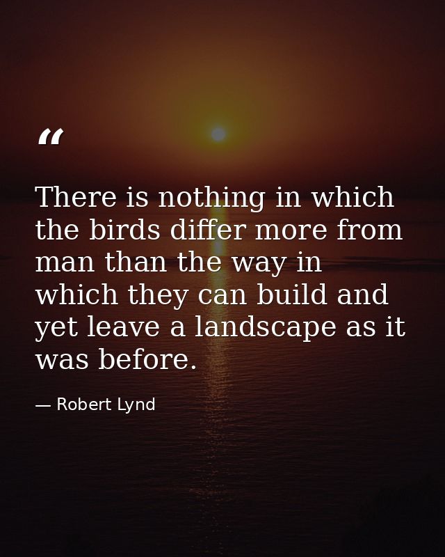 There is nothing in which the birds differ more from man than the way in which they can build and yet leave a landscape  — Robert Lynd