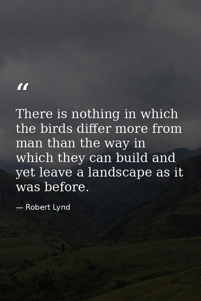 There is nothing in which the birds differ more from man than the way in which they can build and yet leave a landscape  — Robert Lynd