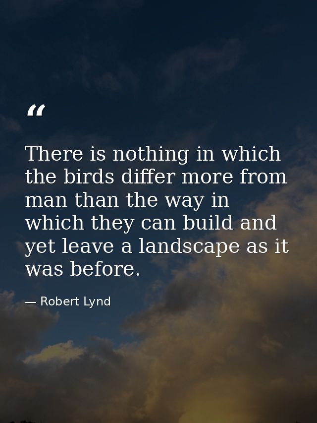 There is nothing in which the birds differ more from man than the way in which they can build and yet leave a landscape  — Robert Lynd