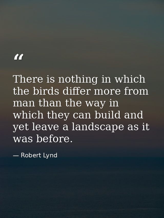 There is nothing in which the birds differ more from man than the way in which they can build and yet leave a landscape  — Robert Lynd