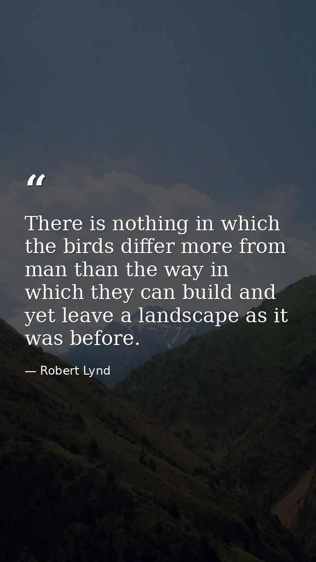 There is nothing in which the birds differ more from man than the way in which they can build and yet leave a landscape  — Robert Lynd