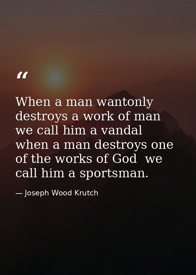 When a man wantonly destroys a work of man we call him a vandal  when a man destroys one of the works of God  we call hi — Joseph Wood Krutch