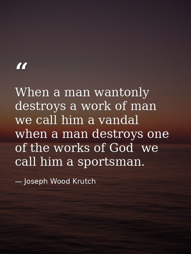 When a man wantonly destroys a work of man we call him a vandal  when a man destroys one of the works of God  we call hi — Joseph Wood Krutch