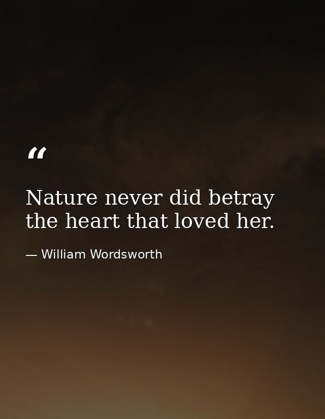 Nature never did betray the heart that loved her. — William Wordsworth