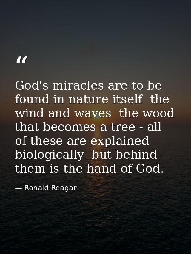 God's miracles are to be found in nature itself  the wind and waves  the wood that becomes a tree - all of these are exp — Ronald Reagan