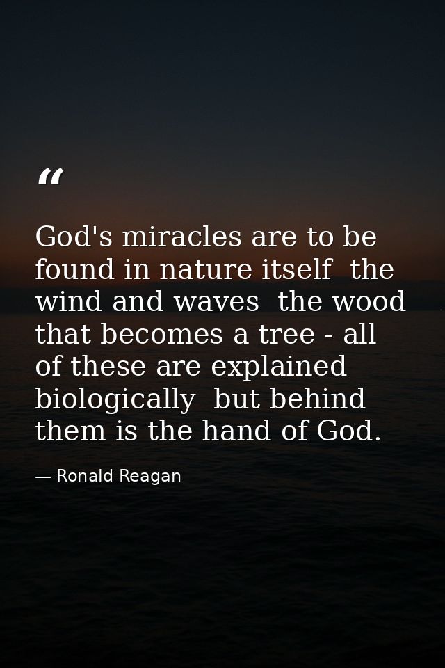 God's miracles are to be found in nature itself  the wind and waves  the wood that becomes a tree - all of these are exp — Ronald Reagan