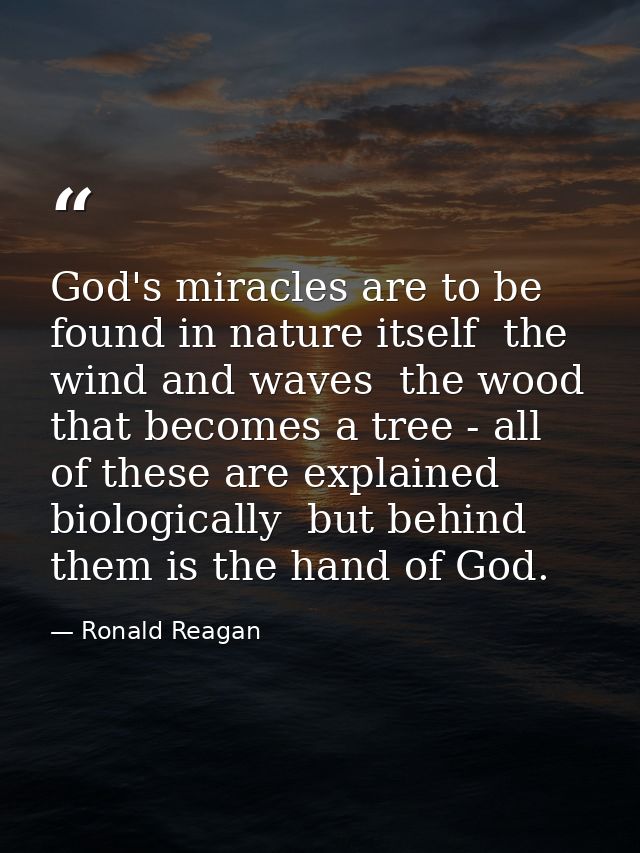 God's miracles are to be found in nature itself  the wind and waves  the wood that becomes a tree - all of these are exp — Ronald Reagan