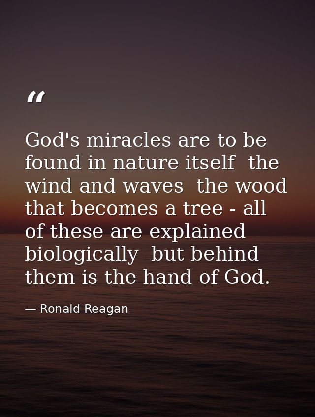 God's miracles are to be found in nature itself  the wind and waves  the wood that becomes a tree - all of these are exp — Ronald Reagan