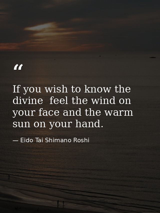 If you wish to know the divine  feel the wind on your face and the warm sun on your hand. — Eido Tai Shimano Roshi