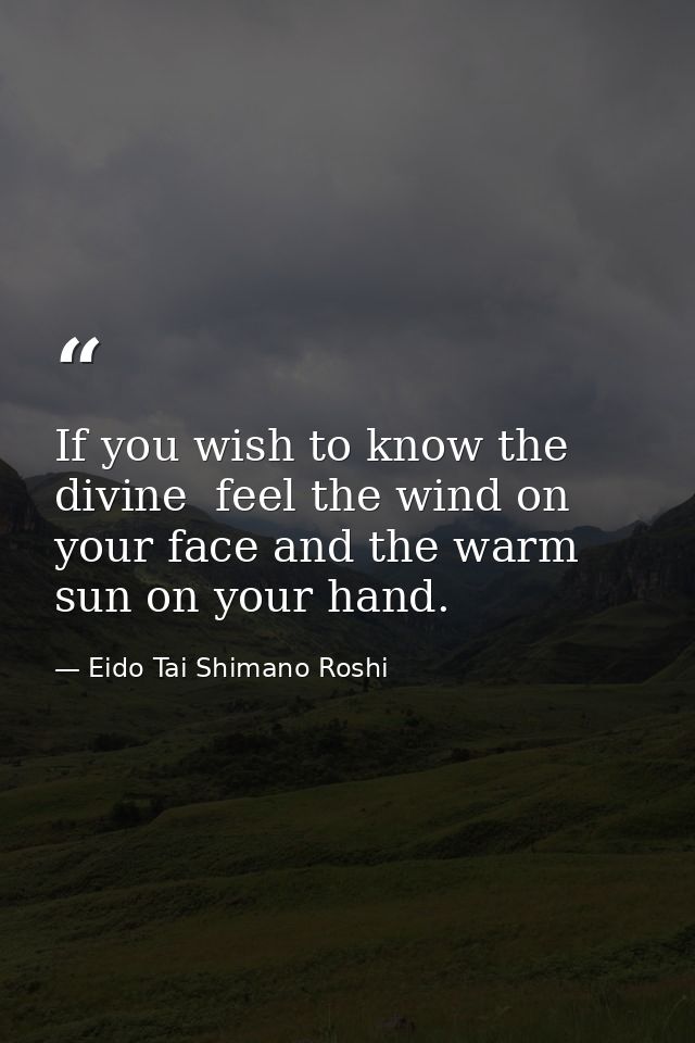 If you wish to know the divine  feel the wind on your face and the warm sun on your hand. — Eido Tai Shimano Roshi