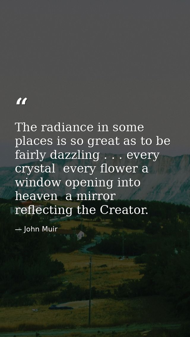 The radiance in some places is so great as to be fairly dazzling . . . every crystal  every flower a window opening into — John Muir