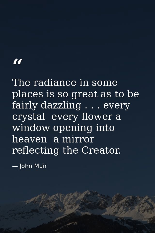 The radiance in some places is so great as to be fairly dazzling . . . every crystal  every flower a window opening into — John Muir