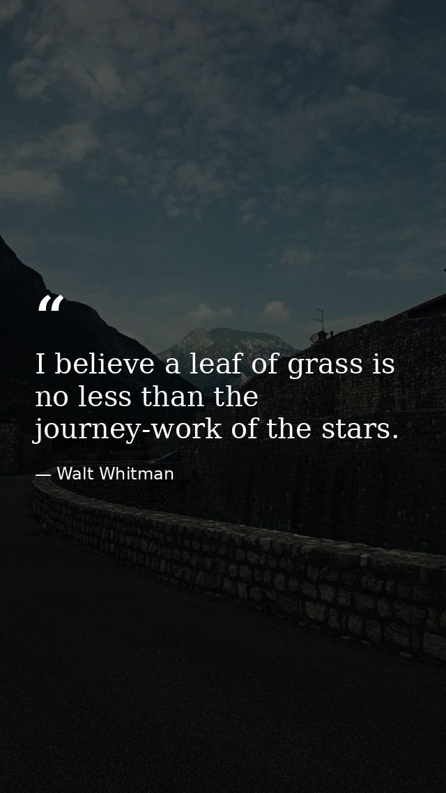 I believe a leaf of grass is no less than the journey-work of the stars. — Walt Whitman