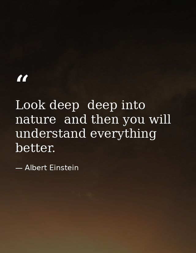 Look deep  deep into nature  and then you will understand everything better. — Albert Einstein